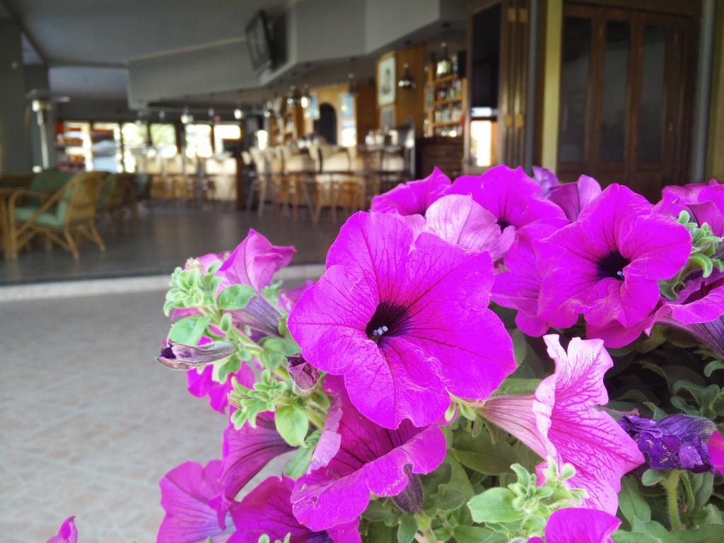 Tondoris Hotel apartamentowy Sidari (Corfu)